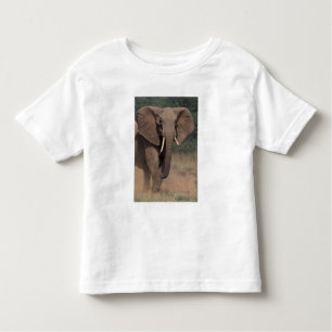 Camiseta De Bebé África, Kenya, Nanyuki, Mpala. Elefante Africano.
