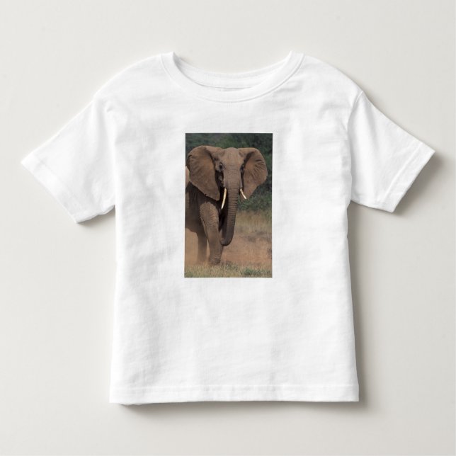Camiseta De Bebé África, Kenya, Nanyuki, Mpala. Elefante Africano. (Anverso)