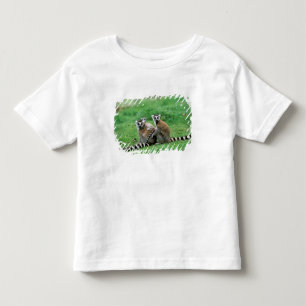 Camiseta De Bebé África, Madagascar, Antananarivo, Tsimbazaza