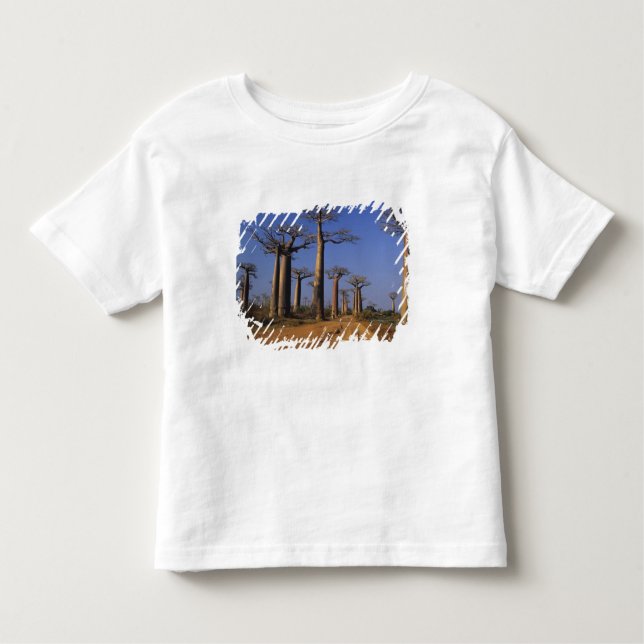 Camiseta De Bebé África, Madagascar, Morondava, Avenida Baobab. (Anverso)