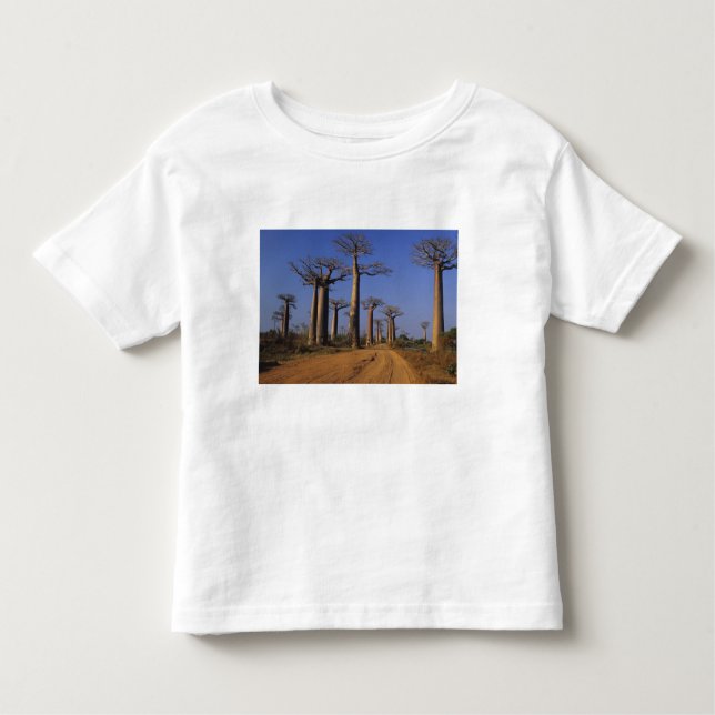 Camiseta De Bebé África, Madagascar, Morondava, Avenida Baobab. (Anverso)