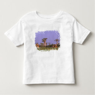 Camiseta De Bebé África, Madagascar, Morondava. Baobabs