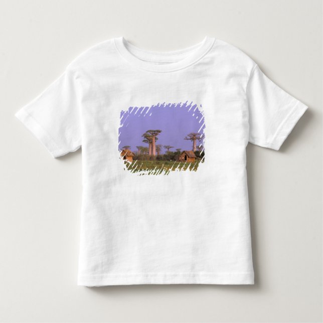 Camiseta De Bebé África, Madagascar, Morondava. Baobabs (Anverso)