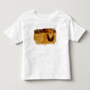 Camiseta De Bebé África, Namibia, Okonjima. León solitario macho