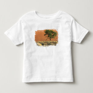 Camiseta De Bebé África, Namibia, Parque Nacional Namib, Sossusvle