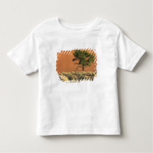 Camiseta De Bebé África, Namibia, Parque Nacional Namib, Sossusvlei