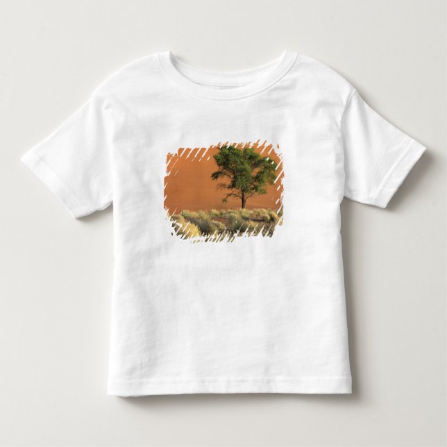 Camiseta De Bebé África, Namibia, Parque Nacional Namib, Sossusvlei (Anverso)