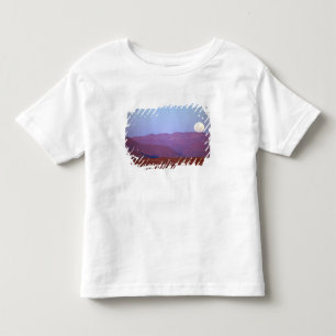 Camiseta De Bebé África, Namibia, Sossusvlei. Una luna llena descan