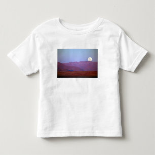Camiseta De Bebé África, Namibia, Sossusvlei. Una luna llena descan