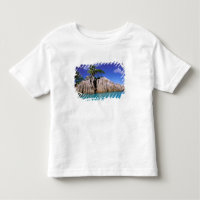 África, Seychelles, Isla La Digue. Granito