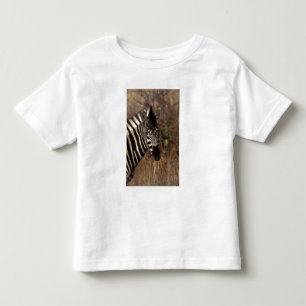 Camiseta De Bebé África, Sudáfrica, retrato de cebra en Parque Naci