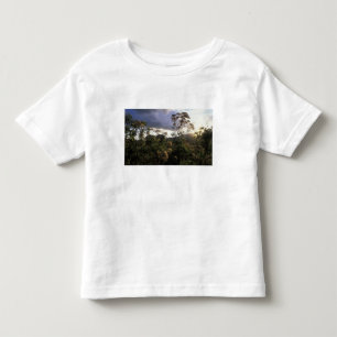 Camiseta De Bebé África, Tanzania, Área de Conservación de Ngorongo