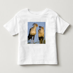 Camiseta De Bebé África. Tanzania. Aves secretarias en Ndutu