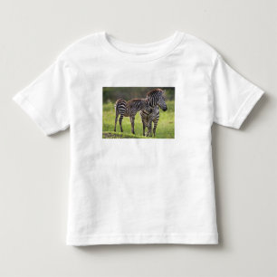 Camiseta De Bebé África. Tanzania. Cebra común madre y cría