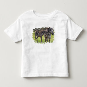 Camiseta De Bebé África. Tanzania. Cebra común madre y cría