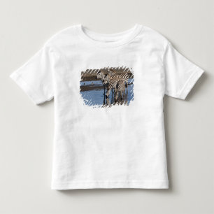 Camiseta De Bebé África. Tanzania. Cebras bebiendo en Ndutu