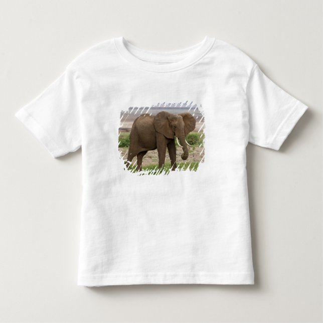 Camiseta De Bebé África. Tanzania. Elefante en el lago Manyara NP. (Anverso)