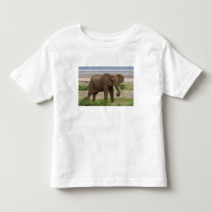 Camiseta De Bebé África. Tanzania. Elefante en el Parque Nacional d