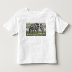 Camiseta De Bebé África. Tanzania. Madre cebra y colza
