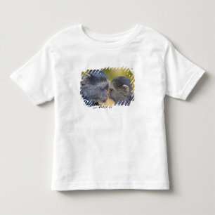 Camiseta De Bebé África. Tanzania. Madre de mono azul con cría