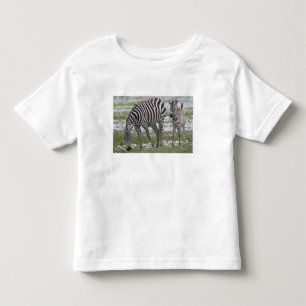 Camiseta De Bebé África. Tanzania. Madre y cría de cebra
