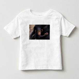 Camiseta De Bebé África, Tanzania, Parque Nacional Gombe