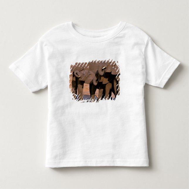 Camiseta De Bebé África, Tanzania, Parque Nacional Tarangire. (Anverso)
