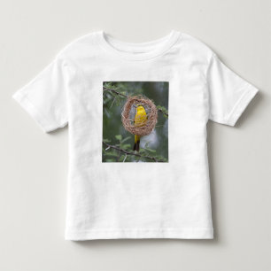 Camiseta De Bebé África. Tanzania. Tejedor de cuello negro hembra