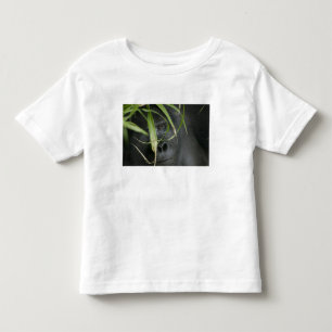 Camiseta De Bebé África, Uganda, Bwindi