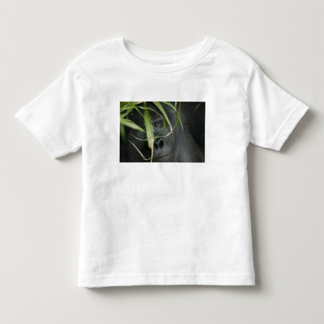 Camiseta De Bebé África, Uganda, Bwindi (Anverso)