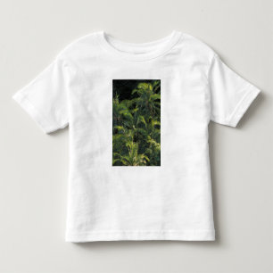 Camiseta De Bebé África, Zambia, Parque Nacional Mosi-Oa-Tunya,