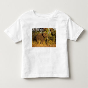 Camiseta De Bebé África, Zimbabue, Parque Nacional de las Cataratas