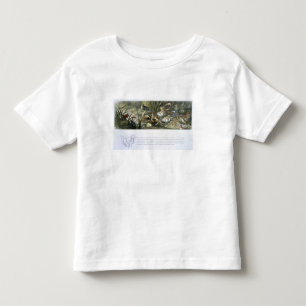 Camiseta De Bebé Agua-Lirios y hadas del agua, ilustracion de