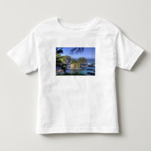 Camiseta De Bebé Aguas marinas, tierras tribales de la nación Maka