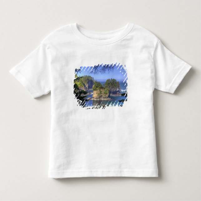 Camiseta De Bebé Aguas marinas, tierras tribales de la nación Makah (Anverso)