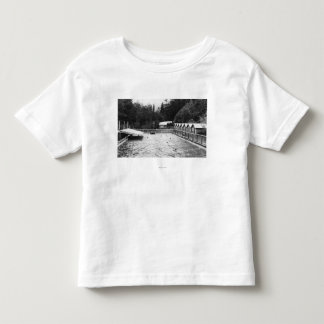 Camiseta De Bebé Aguas termales del solenoide Duc, fotografía de la