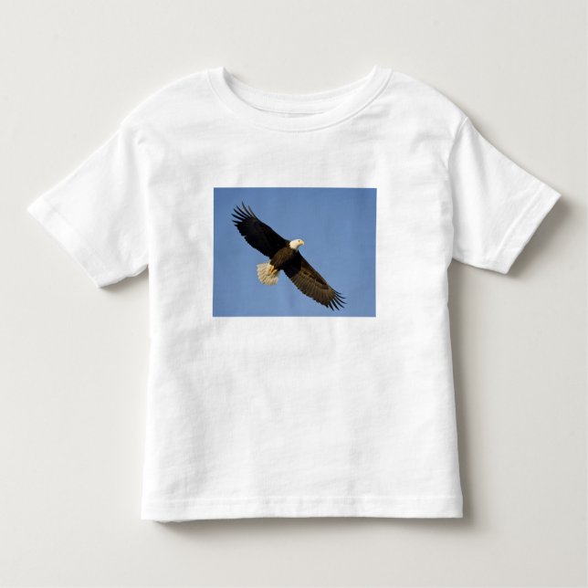Camiseta De Bebé Águila calva, Haliaetus leucocephalus, Homer, 4 (Anverso)