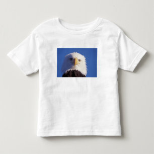 Camiseta De Bebé águila calva, Haliaetus leucocephalus, tiro en la 