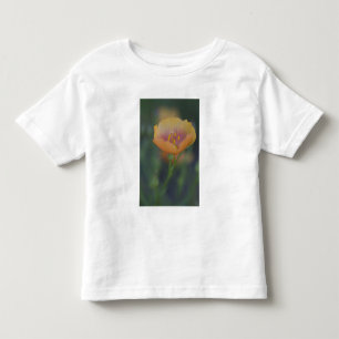 Camiseta De Bebé Al sur de Devine Texas a lo largo de la Interestat