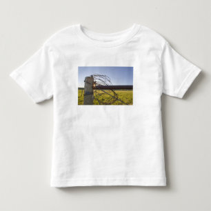 Camiseta De Bebé Alambre de púas enrollado en la hilera de cercas c