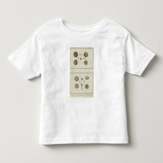 Camiseta De Bebé Alaska (Anverso)