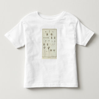 Camiseta De Bebé Alaska 3