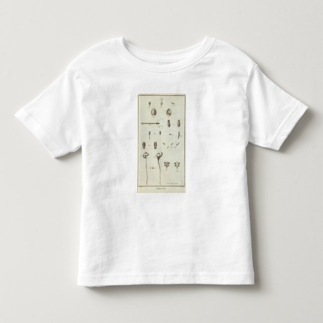 Camiseta De Bebé Alaska 3 (Anverso)