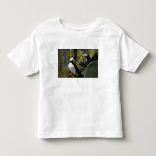 Camiseta De Bebé Alaska, Isla de San Pablo, las Pribilof, cuernitor