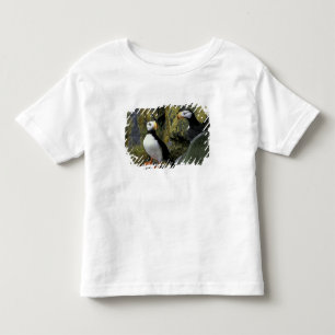Camiseta De Bebé Alaska, Isla de San Pablo, las Pribilof, cuerno
