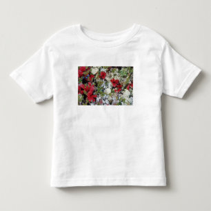Camiseta De Bebé Alaska, Parque Nacional Denali, la tundra ártica e