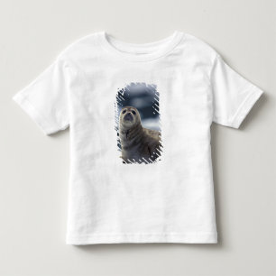 Camiseta De Bebé Alaska, región sureste Foca común en el hielo