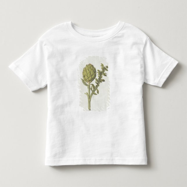Camiseta De Bebé Alcachofa: Scolymus del Cynara, c.1568 (Anverso)
