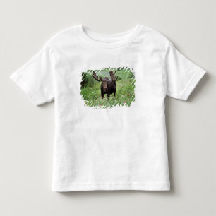 Camiseta De Bebé Alce macho Alces alces) entre flores silvestres,