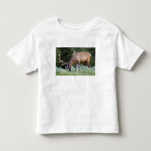 Camiseta De Bebé Alce macho con cuernos en terciopelo pastando